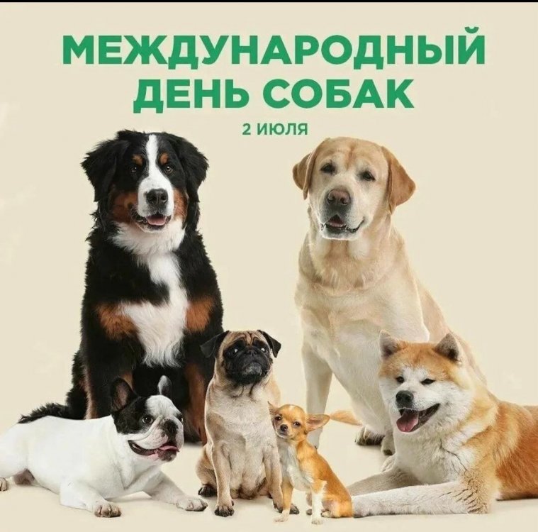 img (1)